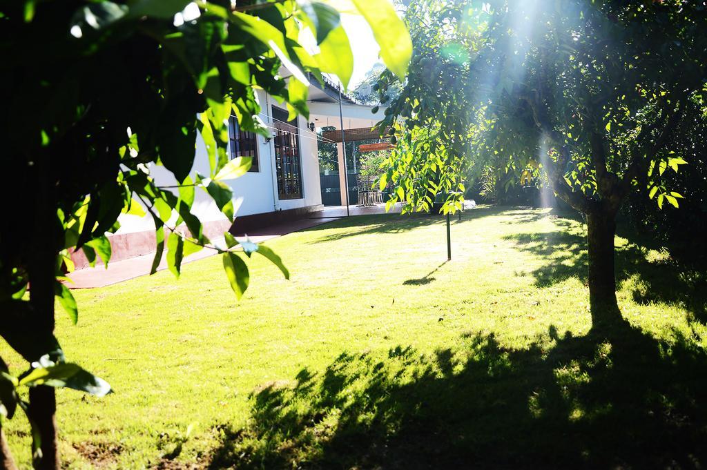 Nil Vimana Villa Ella Exteriér fotografie